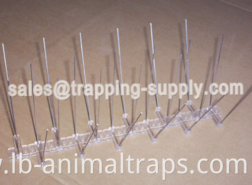 Polycarbonate Base Stainless steel Bird Spike